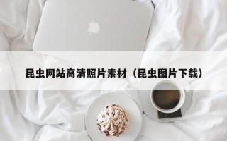 响水昆虫网站高清照片素材(昆虫图片下载) 响水昆虫网站高清照片素材(昆虫图片下载)